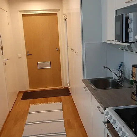 Siisti Yksioe Linnanmaalla *